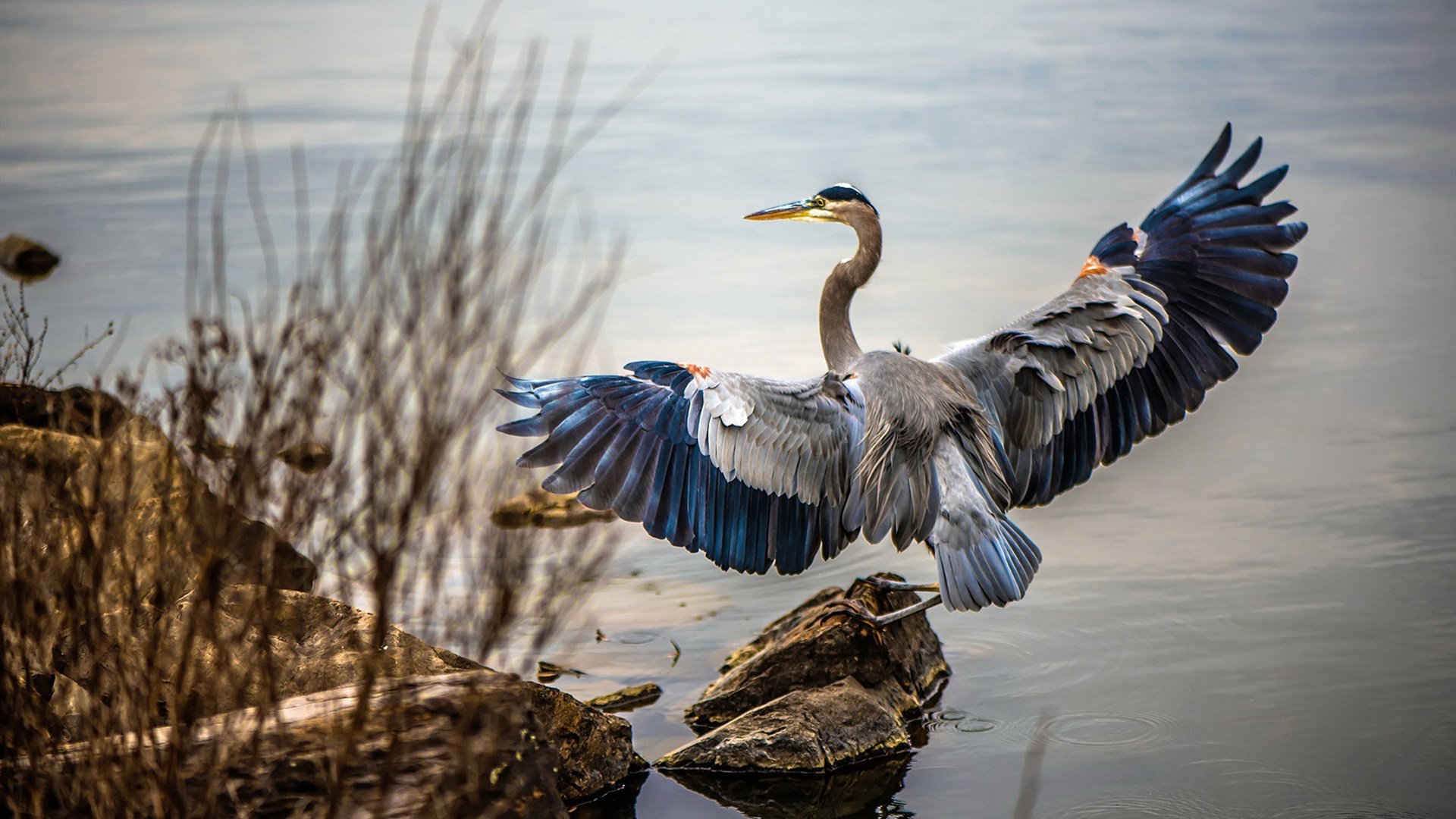 静默封神，当世界为他屏息