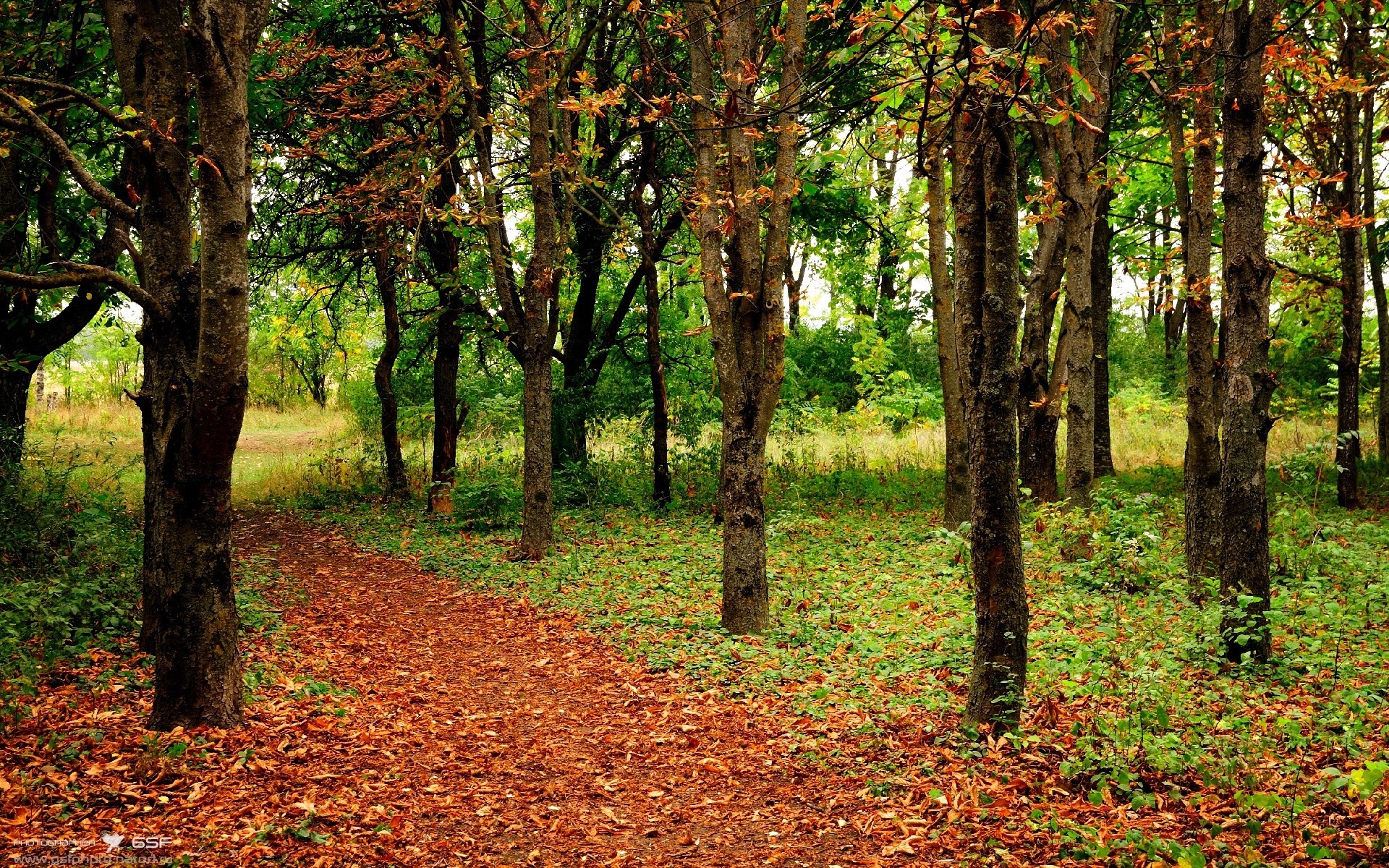 魔笛奏无解弧线,克罗地亚提前终结悬念!冰岛神话今夜落幕
