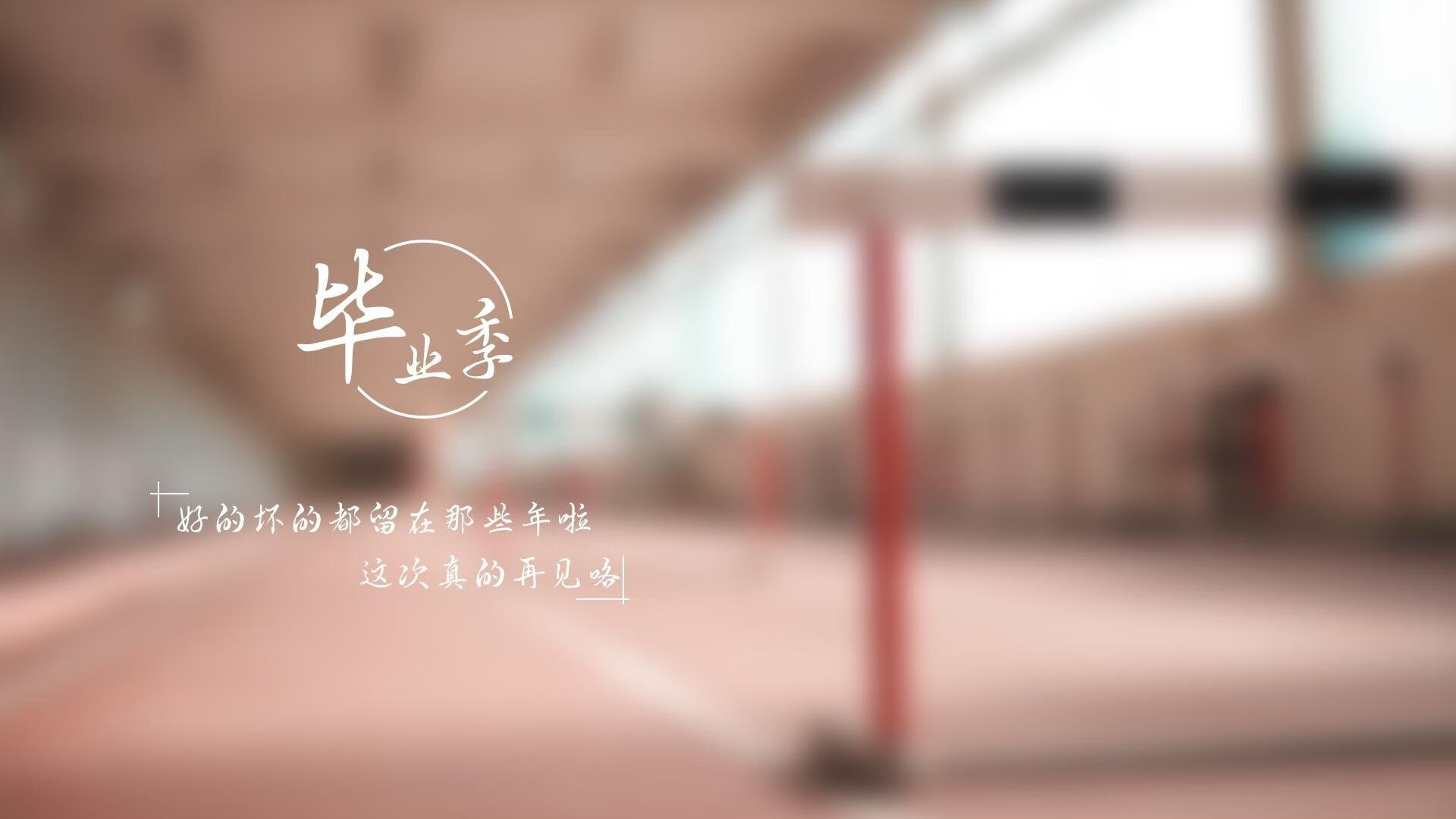 那只飞过山海关的黄蜂
