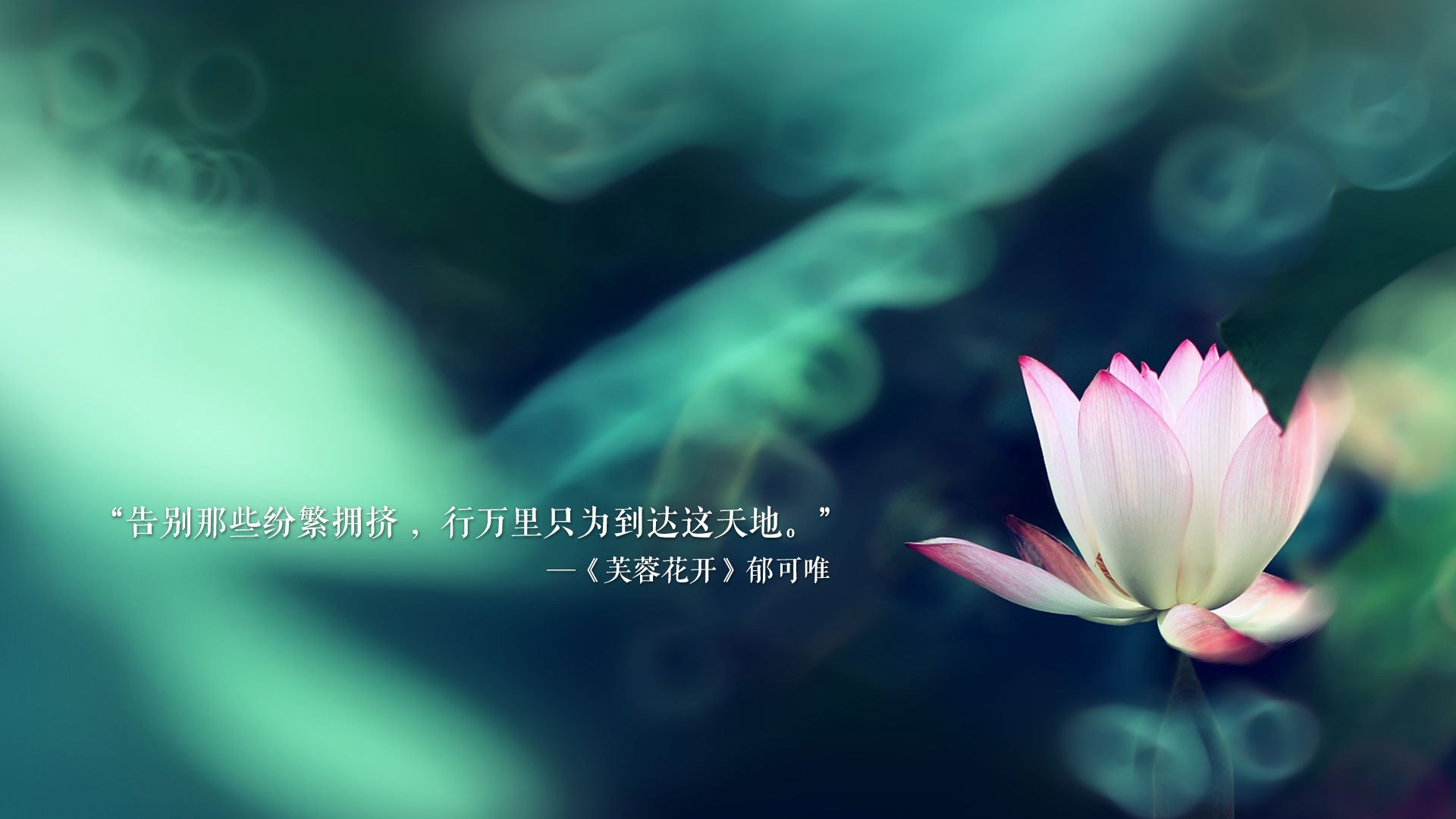 唯一永恒，世界排名争夺战之夜与福登的压制级定义