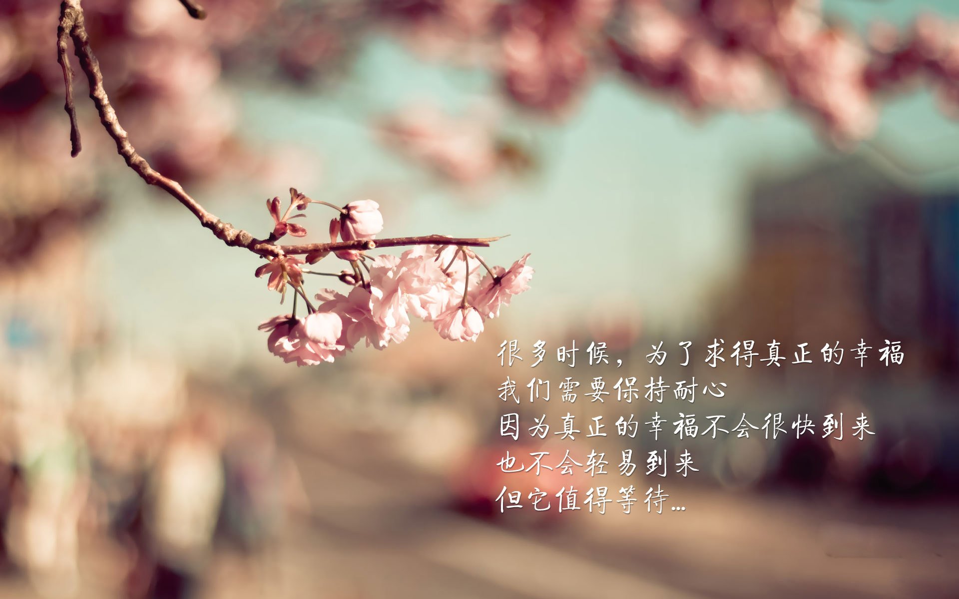 唯一的节拍器,哈基米与墨西哥如何用节奏掌控定义2026世界杯H组的唯一叙事