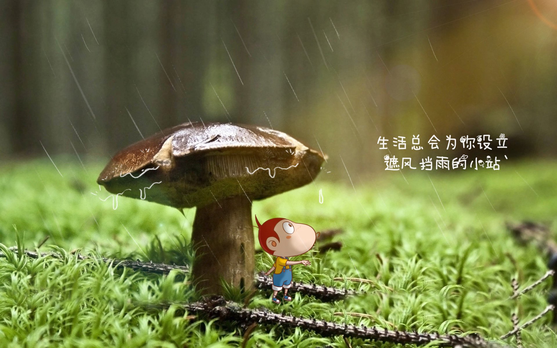 最后一舞的孤星，当苏亚雷斯在2026世界杯E组，为瑞士队咬开命运的裂缝