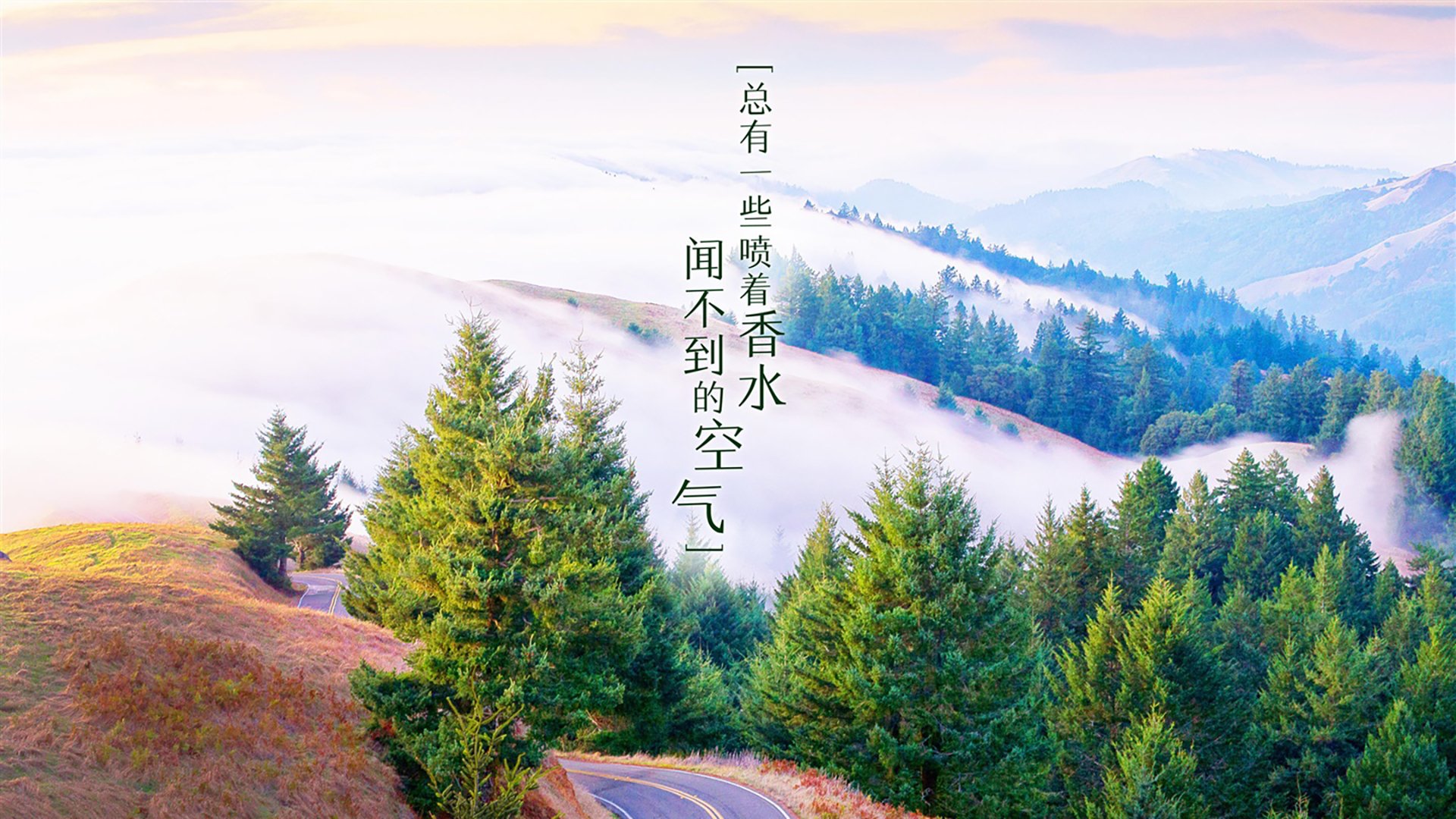 沙漠之盾与潘帕斯之矛，当梅西的天赋刺破北非铁壁，澳大利亚人用血肉筑起最后防线